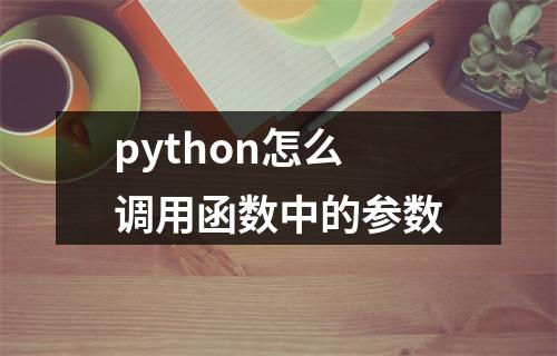 python怎么调用函数中的参数