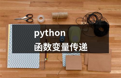 python 函数变量传递