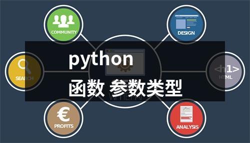 python 函数 参数类型