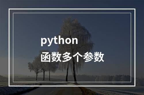 python 函数多个参数
