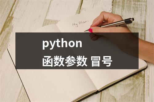 python 函数参数 冒号