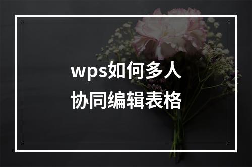 wps如何多人协同编辑表格