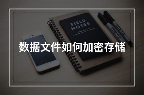 数据文件如何加密存储