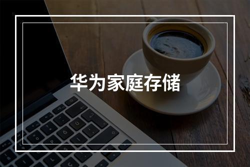 华为家庭存储