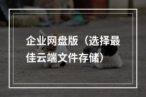 企业网盘版(选择最佳云端文件存储)