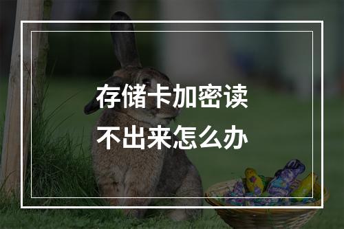 存储卡加密读不出来怎么办