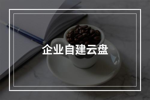 企业自建云盘