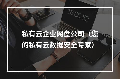 私有云企业网盘公司(您的私有云数据安全专家)