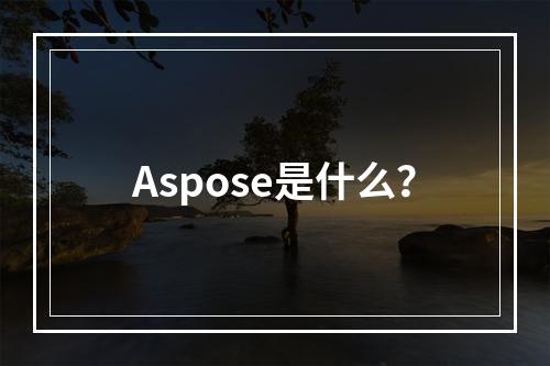Aspose是什么?