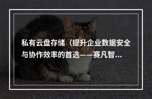 私有云盘存储(提升企业数据安全与协作效率的首选——赛凡智云企业私有云盘)