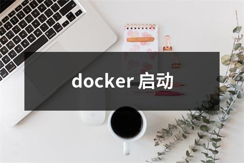 docker 启动