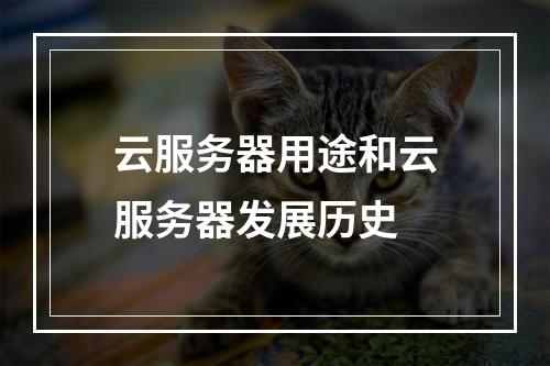 云服务器用途和云服务器发展历史