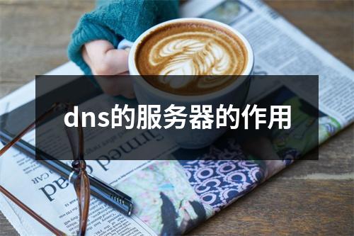 dns的服务器的作用
