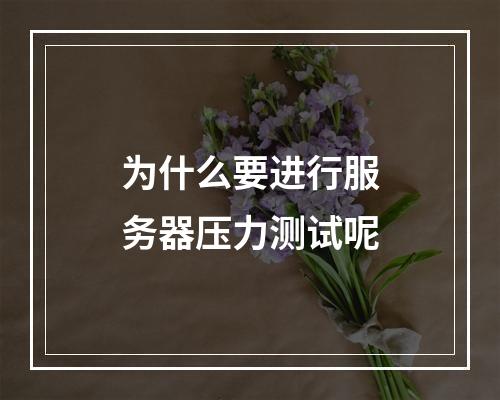 为什么要进行服务器压力测试呢