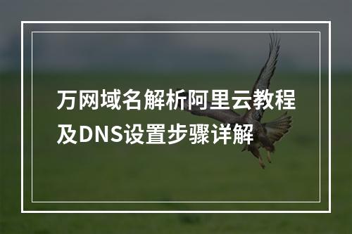 万网域名解析阿里云教程及DNS设置步骤详解