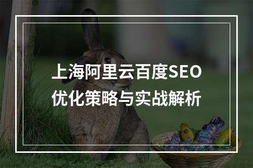 上海阿里云百度SEO优化策略与实战解析