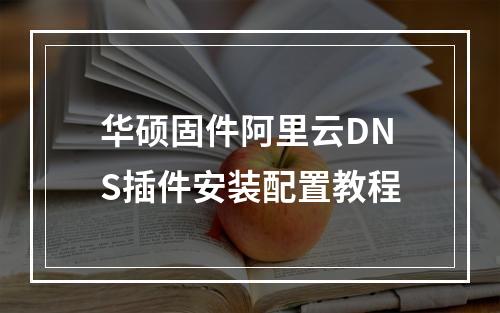 华硕固件阿里云DNS插件安装配置教程