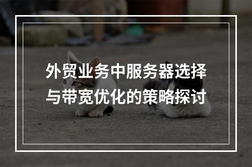 外贸业务中服务器选择与带宽优化的策略探讨