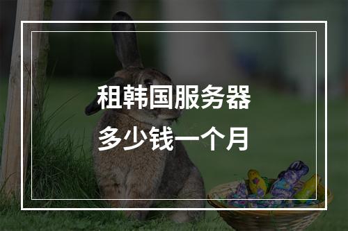 租韩国服务器多少钱一个月