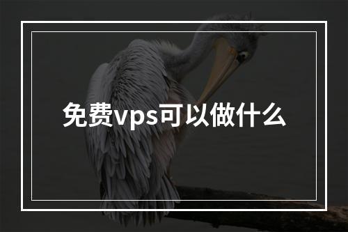 免费vps可以做什么