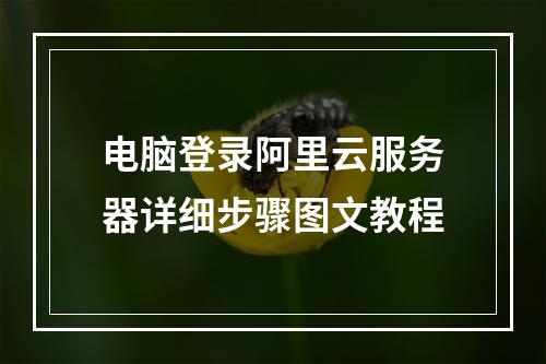 电脑登录阿里云服务器详细步骤图文教程