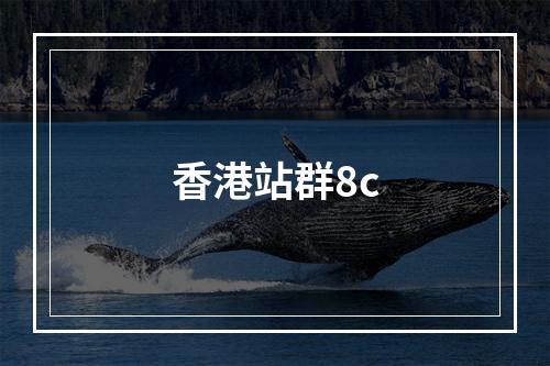 香港站群8c