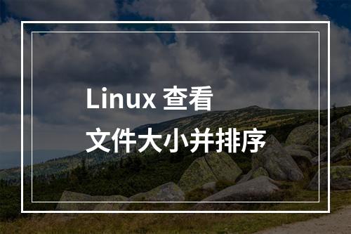 Linux 查看文件大小并排序