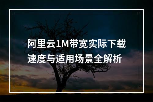 阿里云1M带宽实际下载速度与适用场景全解析