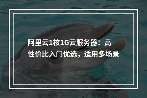 阿里云1核1G云服务器：高性价比入门优选，适用多场景