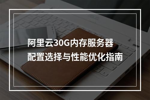 阿里云30G内存服务器配置选择与性能优化指南