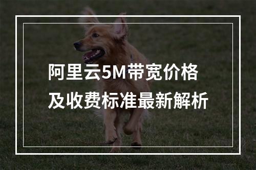 阿里云5M带宽价格及收费标准最新解析