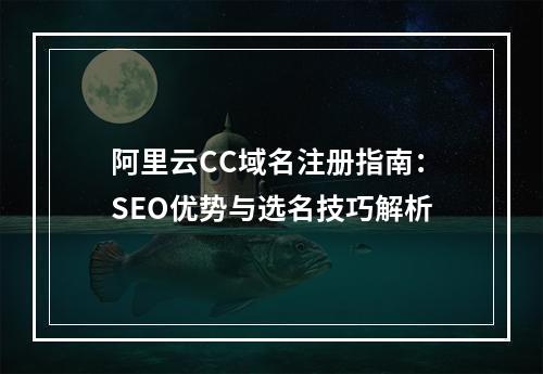 阿里云CC域名注册指南：SEO优势与选名技巧解析