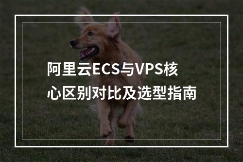 阿里云ECS与VPS核心区别对比及选型指南