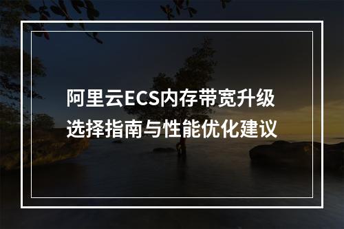 阿里云ECS内存带宽升级选择指南与性能优化建议