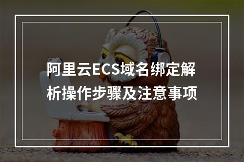 阿里云ECS域名绑定解析操作步骤及注意事项