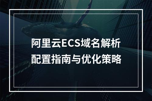 阿里云ECS域名解析配置指南与优化策略