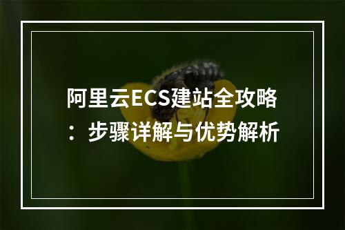 阿里云ECS建站全攻略：步骤详解与优势解析