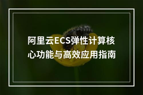 阿里云ECS弹性计算核心功能与高效应用指南