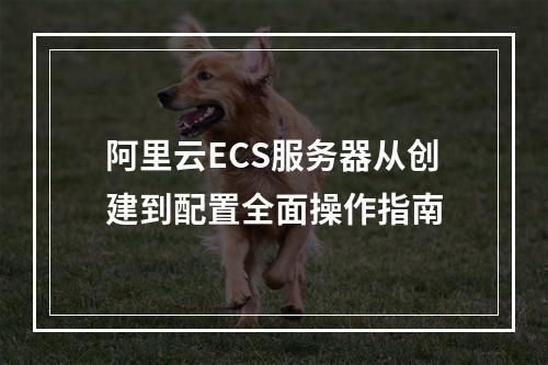 阿里云ECS服务器从创建到配置全面操作指南