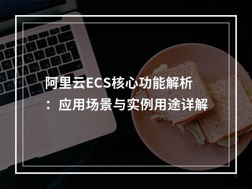 阿里云ECS核心功能解析：应用场景与实例用途详解