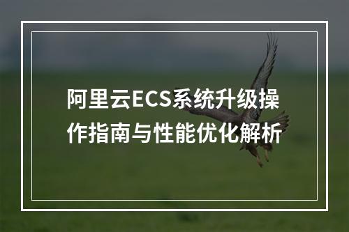 阿里云ECS系统升级操作指南与性能优化解析