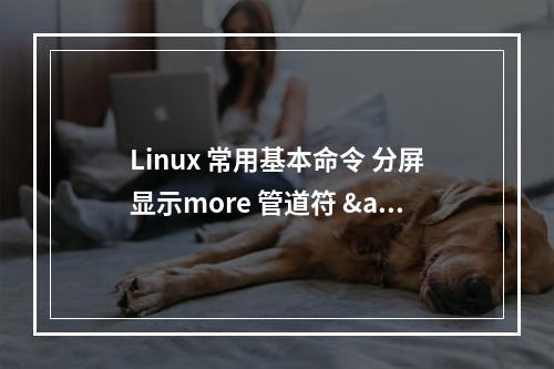Linux 常用基本命令 分屏显示more 管道符 "|"