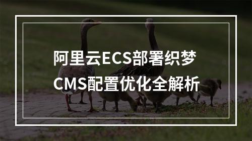 阿里云ECS部署织梦CMS配置优化全解析
