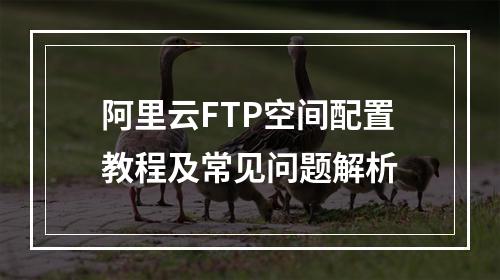 阿里云FTP空间配置教程及常见问题解析