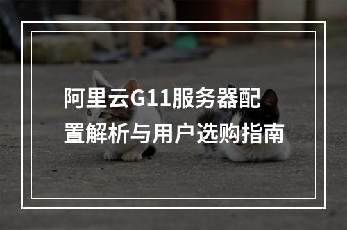 阿里云G11服务器配置解析与用户选购指南