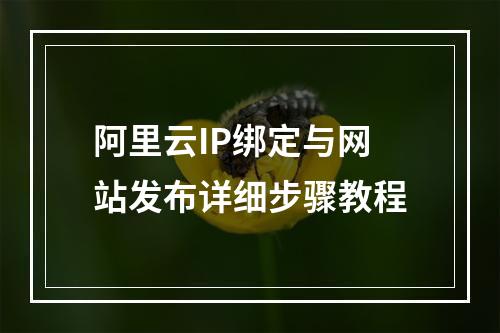 阿里云IP绑定与网站发布详细步骤教程