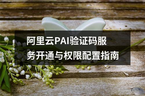 阿里云PAI验证码服务开通与权限配置指南