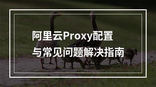 阿里云Proxy配置与常见问题解决指南