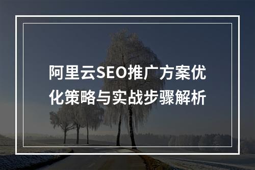 阿里云SEO推广方案优化策略与实战步骤解析
