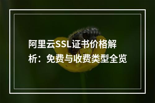 阿里云SSL证书价格解析：免费与收费类型全览